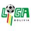 Liga Profesional